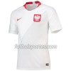 Camisetas Polonia Primera Equipacion Mundial 2018